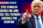 1702 Stimulus Checks