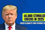 $6,000 Stimulus Checks in 2025