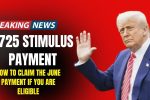$725 Stimulus Payment