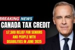 Canada Tax Credit