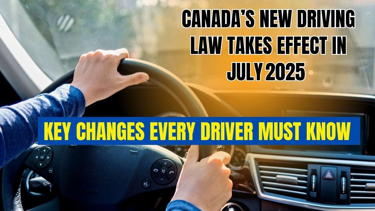 New Driving Law