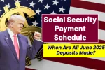 Social Security Payment Schedule